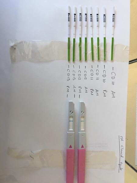 Clomid thread 2019