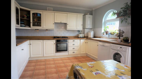 Does anyone have painted kitchen cupboards?