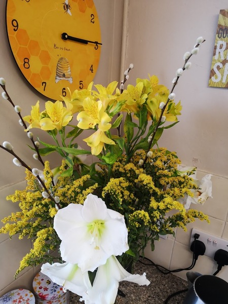 Free box of flowers - Freddie's Flowers