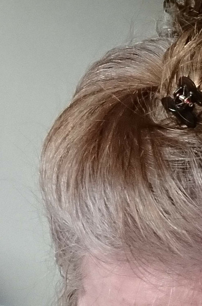 What can I do with this?  (grey hair,  pic Inc)