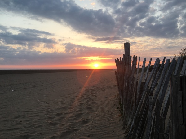 Roses are red, we like Becks Blue, Tryers to be Dryers push on through. 2019 will be our Valentine.