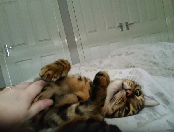 Who else has a furry nurse?