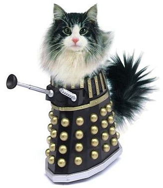 I want a cat, but how do I make sure I get one that’s not an arsehole?