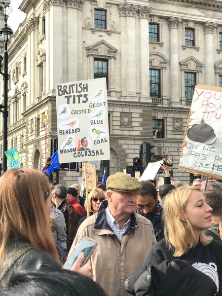 Westminstenders: Pragmatism versus Purity