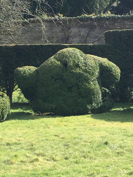 Do you see faces in things?