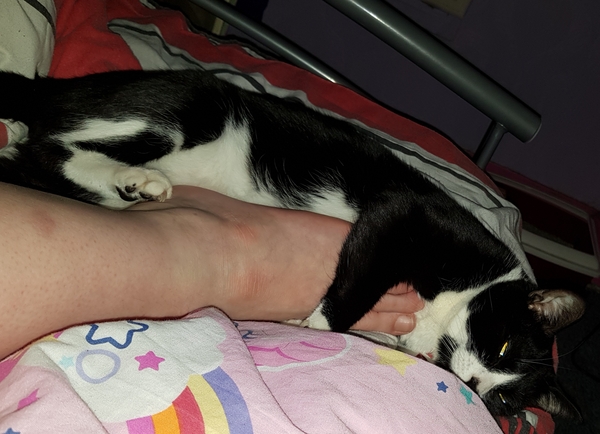 To be really creeped out by my cat?