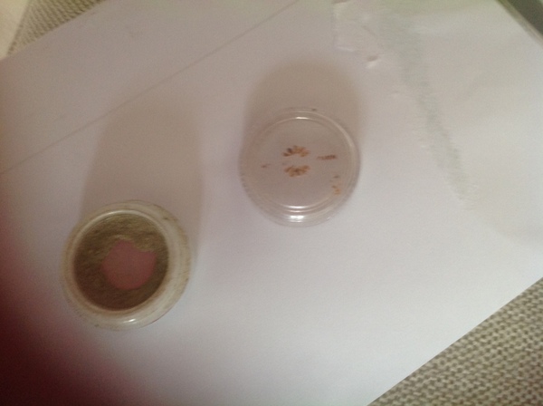 Please help me find green eye shadow