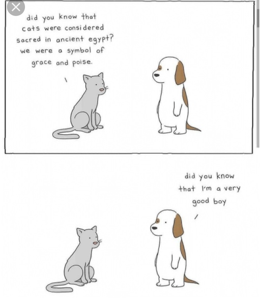 Please share your funny memes or pictures.