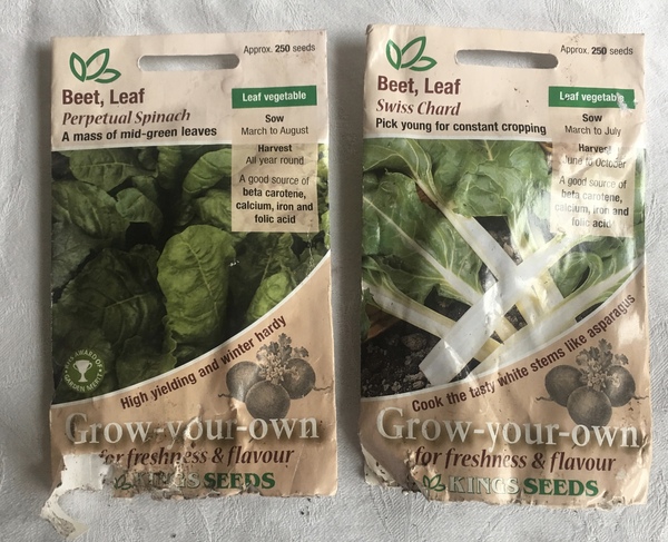 Allotment?Veg Patch Thread 13! Are we weathering the weather?