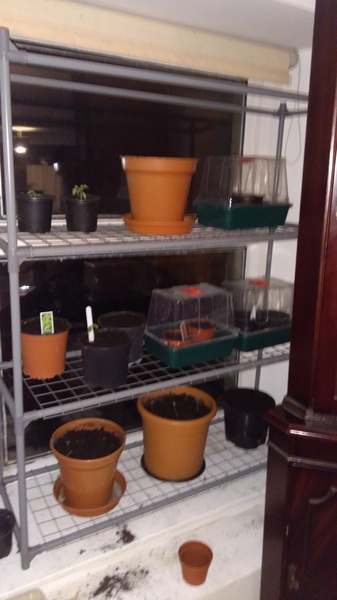 29th March "Grow your own" newcomers welcome here