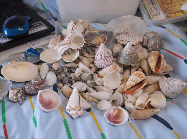 Any Witches Here? Part 7.