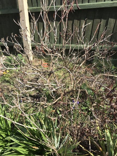 What is this?