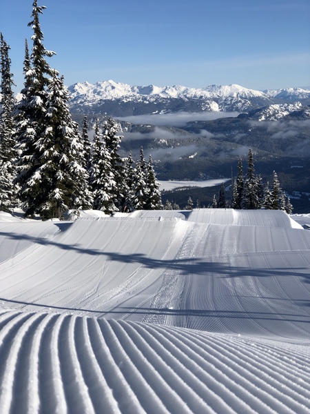 A warm woolly welcome to C2019! Chernobs ahoy!