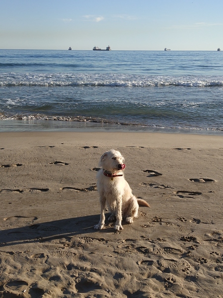 What does an “average” work day look like for you?