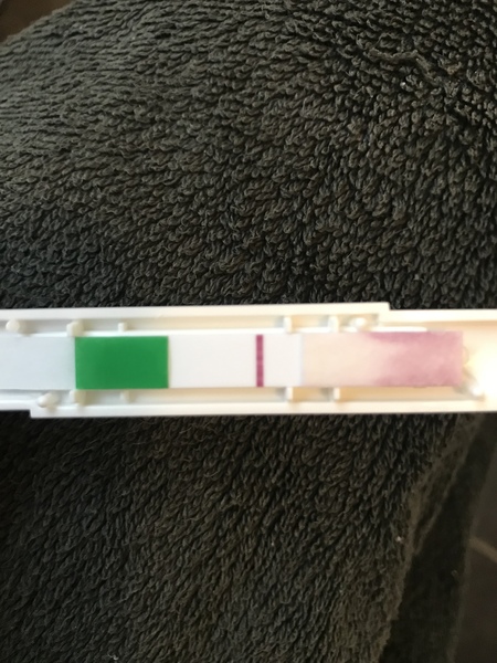 5dpo