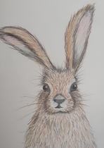 Any Witches Here? Part 7.