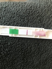 5dpo