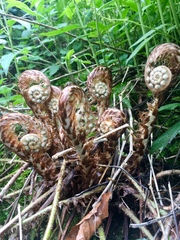 Any Witches Here? Part 7.