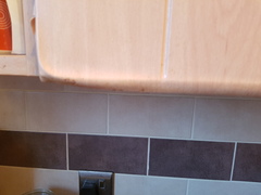 Can these kitchen cupboards be spruced up?