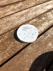 What are these in pizza toy??