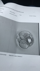 January/ February IVF/ICSI