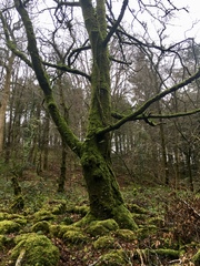 Any Witches Here? Part 7.