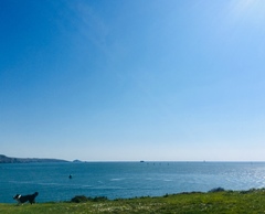 Any Witches Here? Part 7.