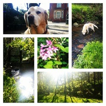 Any Witches Here? Part 7.