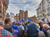 Westminstenders: Pragmatism versus Purity