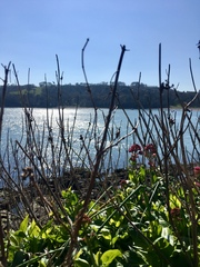 Any Witches Here? Part 7.