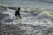 Soundtrack to your lives