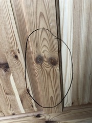 Do you see faces in things?