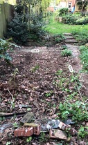 What would you do with this patch of garden?