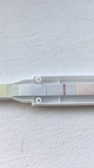 5dpo