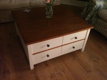 Has anyone successfully painted their furniture?