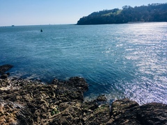 Any Witches Here? Part 7.