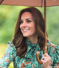 Alternative to Kate Middleton's (wood handle) umbrellas?