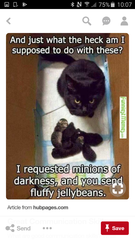 Please share your funny memes or pictures.