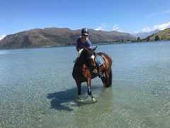 Can we have a pony picture thread?