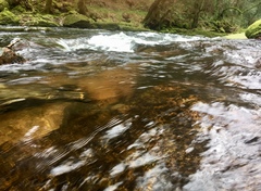 Any Witches Here? Part 7.