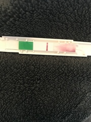 5dpo