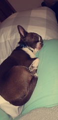 Who else has a furry nurse?