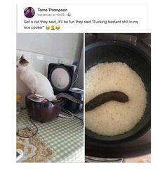 Please share your funny memes or pictures.