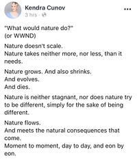 Any Witches Here? Part 7.