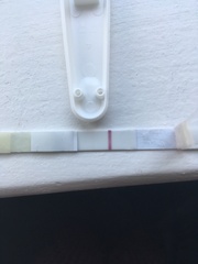 5dpo