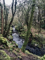 Any Witches Here? Part 7.