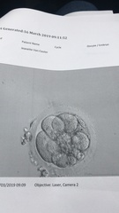January/ February IVF/ICSI