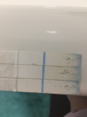LINE EYES?! BFP?!