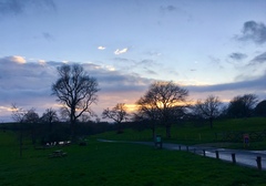 Any Witches Here? Part 7.