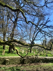 Any Witches Here? Part 7.